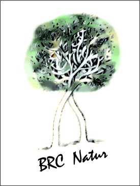 BRC Natur logo